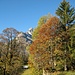 Der Herbst hält Einzug auf der Sonnenterrasse von Glarus