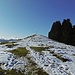 ...dann ist es nicht mehr weit bis zum Zwieselberg.