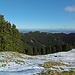 Blick zurück zum soeben erwanderten Kamm.