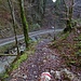 Am Großbach trifft man auf einen Fahrweg, der zurück zum Ausgangspunkt leitet.