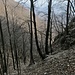 Val Cavrasciallo.