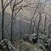 Sullo sfondo la dorsale di provenienza al Passo.
