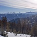 Erster Blick aus dem Bergwald