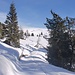 Ich gehe über einen schneebedeckten Fahrweg mit kaum noch erkennbaren alten Skispuren; Rückblick
