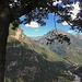 Alpe Pescia
