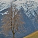 Controluce.