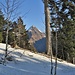 Il Sosto appare fra gli alberi.