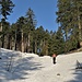 Il sentiero alterna tratti innevati ad altri ghiacciati.