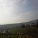 Der Blick schweift über die Weinberge hinüber nach Weyher....