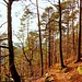 Auf dem nach Friedrich Sprater benannten Steig wanderte ich hinauf auf den Kesselberg.