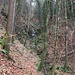 Hier die obere Steilstelle von unten betrachtet.<br />