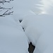 Winterimpression in einer verlassenen Gegend