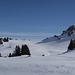 Auf dem Weg zum Buur. 