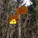 Auch ein schönes Gelb: das Wanderweggelb.
