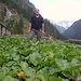 "Mein Leben im Kraut"
