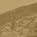 "Die Auflösung des Menschen in der Landschaft"