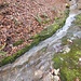 Kanal