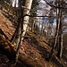 Pfad zurück.