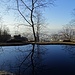 liebliches Weiherchen im Schlosspark