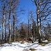 herrliche Kretenwanderung 1