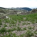 Kartoffelplantagen auf ca. 3500 m