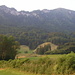 Blick hinauf zum Buochserhorn