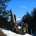 Holzstillleben