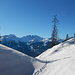 Viele Spuren führen nach Fulateia