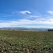 Schellenberg - Panorama