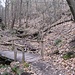 Nachdem mein Weg am Hang sich mit dem Weg im Talgrund vereinigt hat, bin ich jetzt auch auf dem sogenannten "Brückenweg" unterwegs.