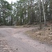 ... und schließlich erreicht man diesen Sattelpunkt westlich der Hohen Loog. Weiter geht es jetzt nach rechts (beim gelben Schild am Baum).