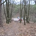 Ein Parkplatz wird überquert und geradeaus durch den Wald wieder verlassen.