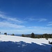 Ein bißchen Winter auf dem Rohrhardsberg, eine Loipe ist sogar gespurt