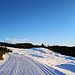 Abendsonne und Traumwetter in der Nordmarka