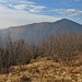 Il bosco lascia il posto agli arbusti.