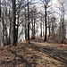In molti tratti il sentiero è decisamente largo.