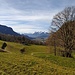 Bei Tugstein spitzt der weiße Alpstein durch