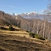 Forêt de bouleaux entre Murecco et Alpe Zalto