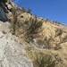 Pertanto si contorna la bastionata sfruttando ancora queste ripide ma fantastiche placche.