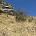 Si contorna ancora la bastionata su paglia ripidissima giungendo alla selletta...