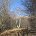 Monte Colletta.