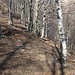 A destra il sentiero marcato per l'Alpe Tramboschino. La salita verso la cresta inizia qui.