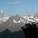 Edelweiss mit Matterhorn