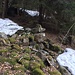 Le rovine inferiori della Ruschera (circa 1200 m)