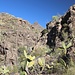 erstmal durch ein schönes Barranco