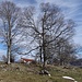 Schade um das [https://www.hikr.org/gallery/photo1000630.html?post_id=59948 Gipfelhüttchen]. Wäre ideal für eine Mittagspause gewesen.