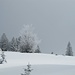Winterlandschaft zwischen Grafenmatt und Schläglebachkopf