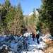 im Winter geht er noch, der Steig