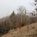Blick zum Teplický vrch