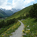 Abstieg zur Alp Crap Alv